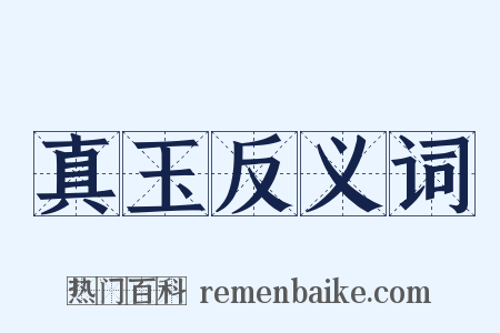 真玉反义词是什么意思的图片